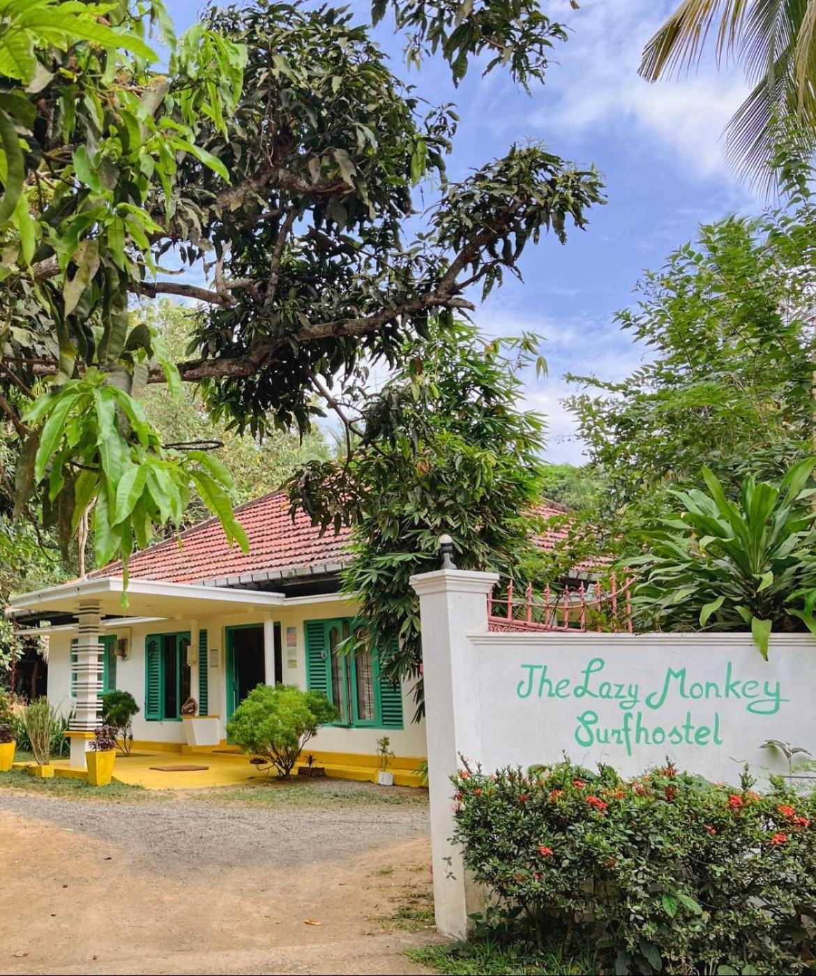 Lazy Monkey Surfhostel - Sri Lanka Dikwella Exterior foto