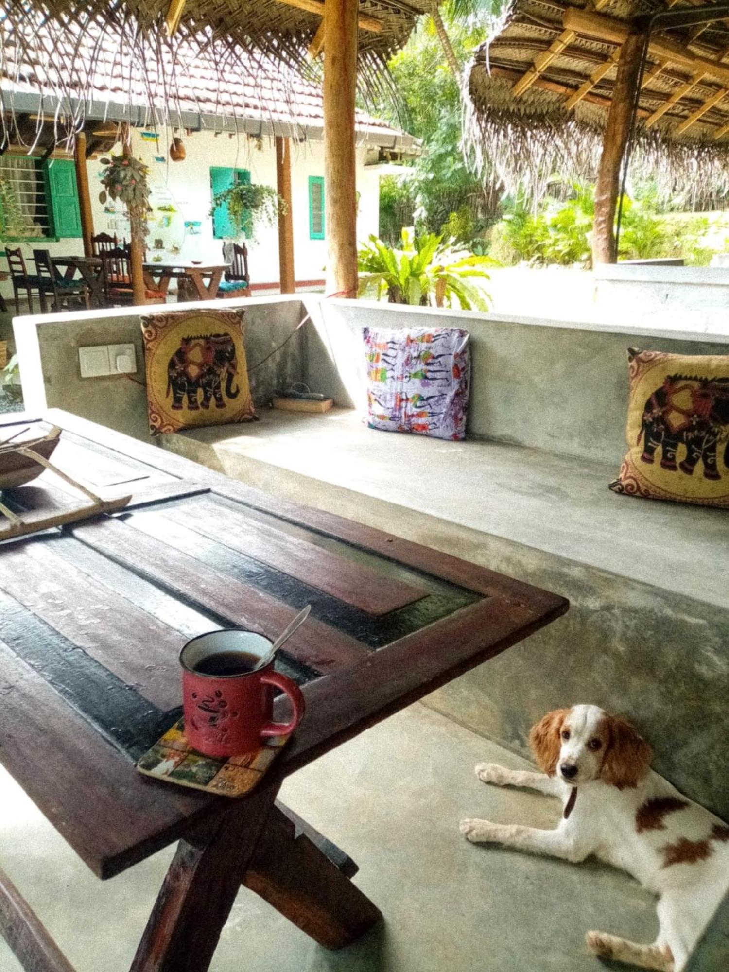 Lazy Monkey Surfhostel - Sri Lanka Dikwella Exterior foto