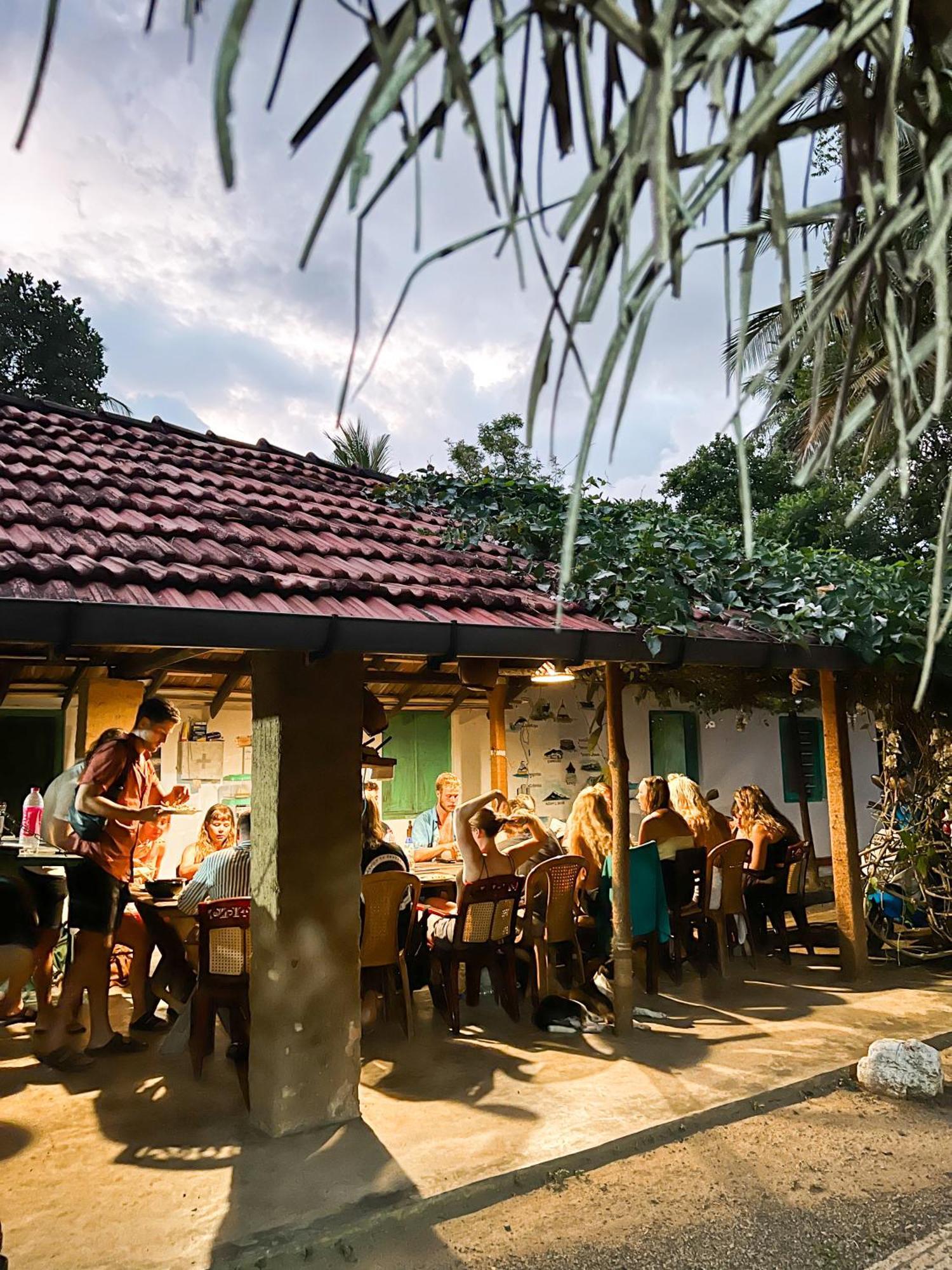 Lazy Monkey Surfhostel - Sri Lanka Dikwella Exterior foto