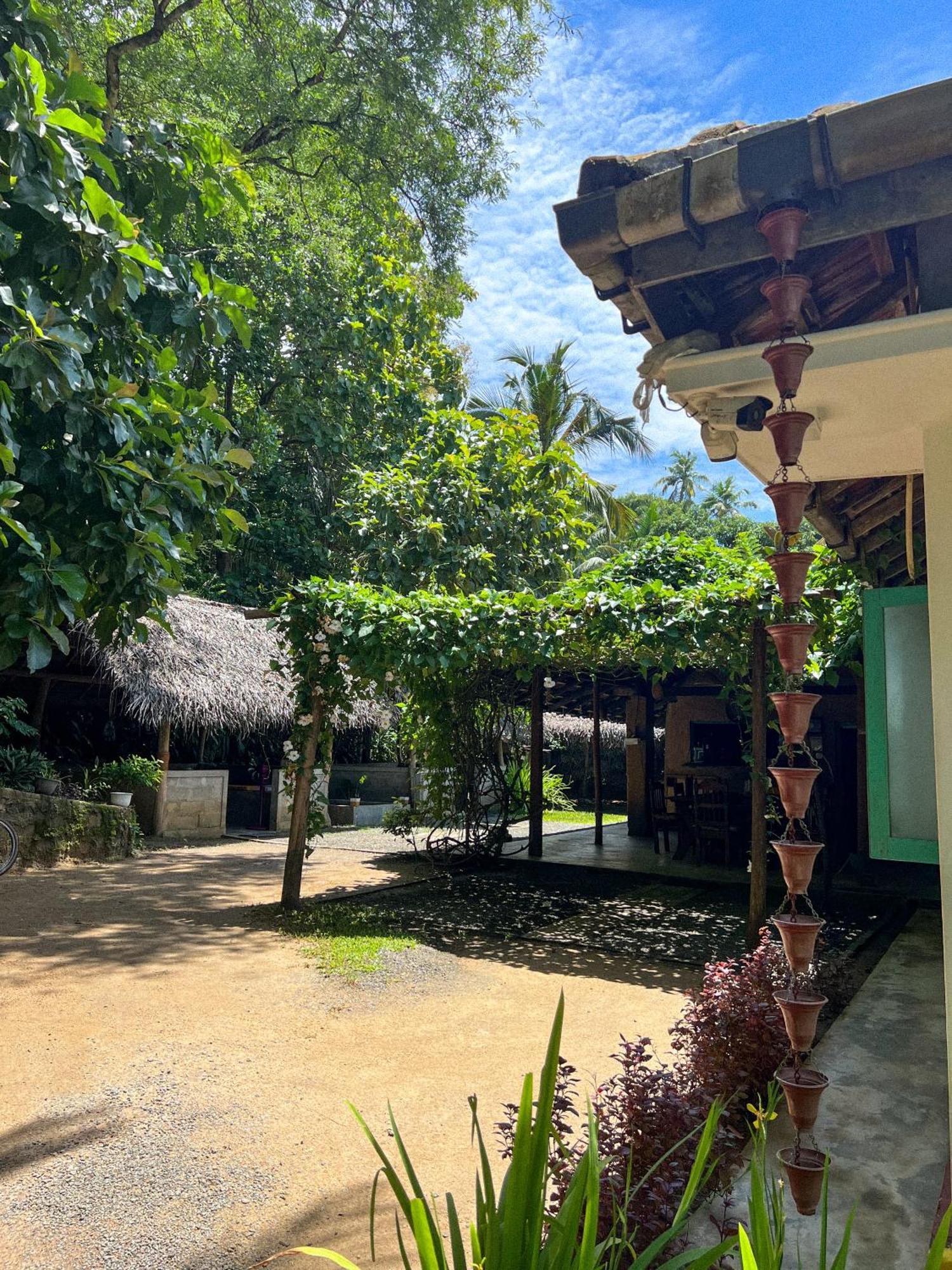 Lazy Monkey Surfhostel - Sri Lanka Dikwella Exterior foto