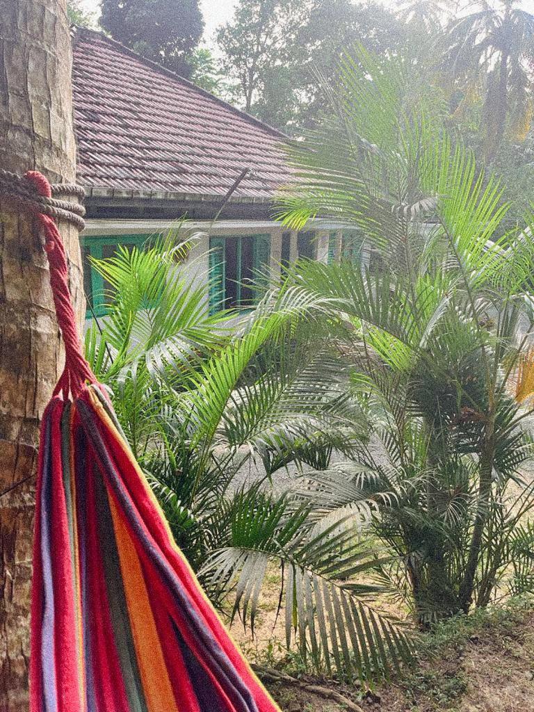 Lazy Monkey Surfhostel - Sri Lanka Dikwella Exterior foto