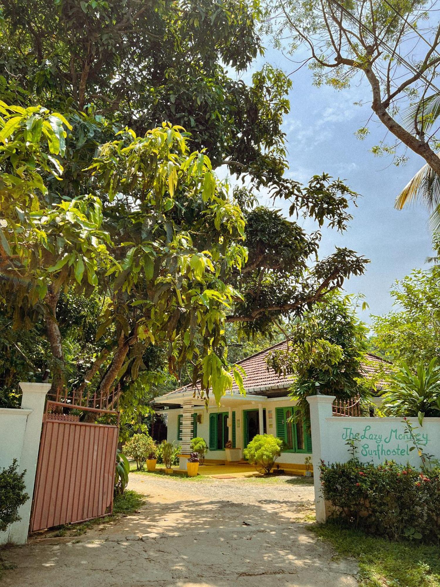 Lazy Monkey Surfhostel - Sri Lanka Dikwella Exterior foto
