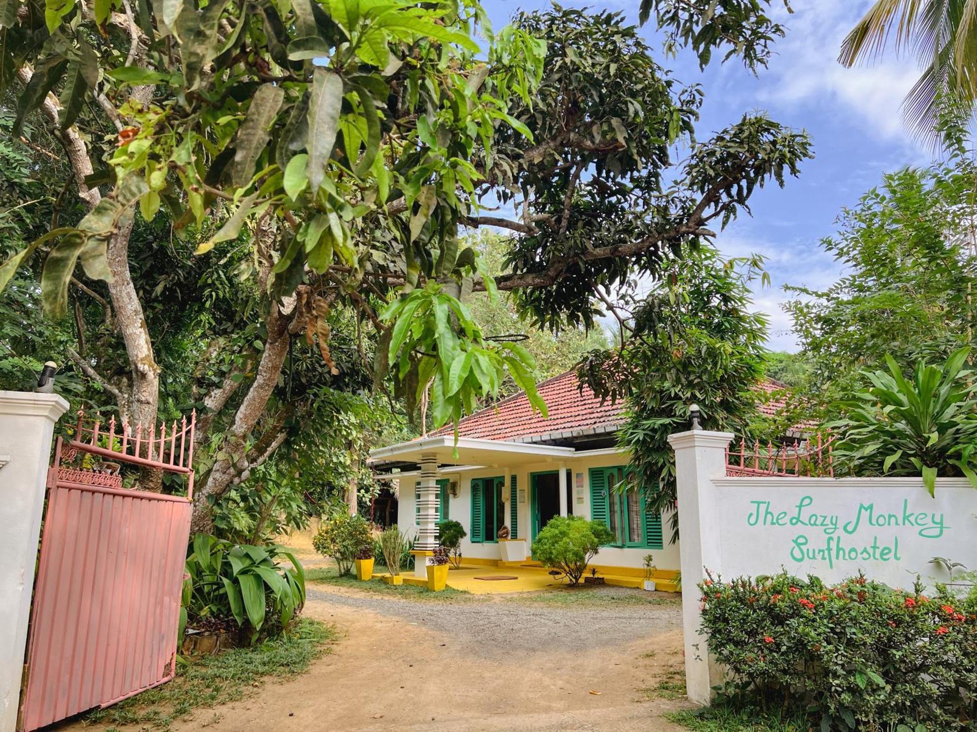 Lazy Monkey Surfhostel - Sri Lanka Dikwella Exterior foto